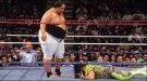 Yokozuna - Photo 1