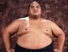 Yokozuna - Photo 3