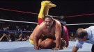 Yokozuna - Photo 1