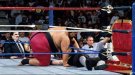 Yokozuna - Photo 2
