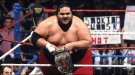 Yokozuna - Photo 1
