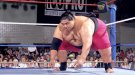 Yokozuna - Photo 1
