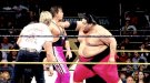 Yokozuna - Photo 2
