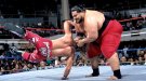 Yokozuna - Photo 0