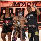 ImpactRebellionPart1_RhinoDreamerSteveVSoVe-17-1024x683.jpg