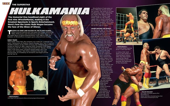 WWE-Hero-Collector-Box-Set-Hulk-Hogan-Andre-The-Giant-9