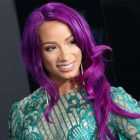 Sasha Banks de la WWE apparaît dans `` The Mandalorian '' et les fans sont ravis 