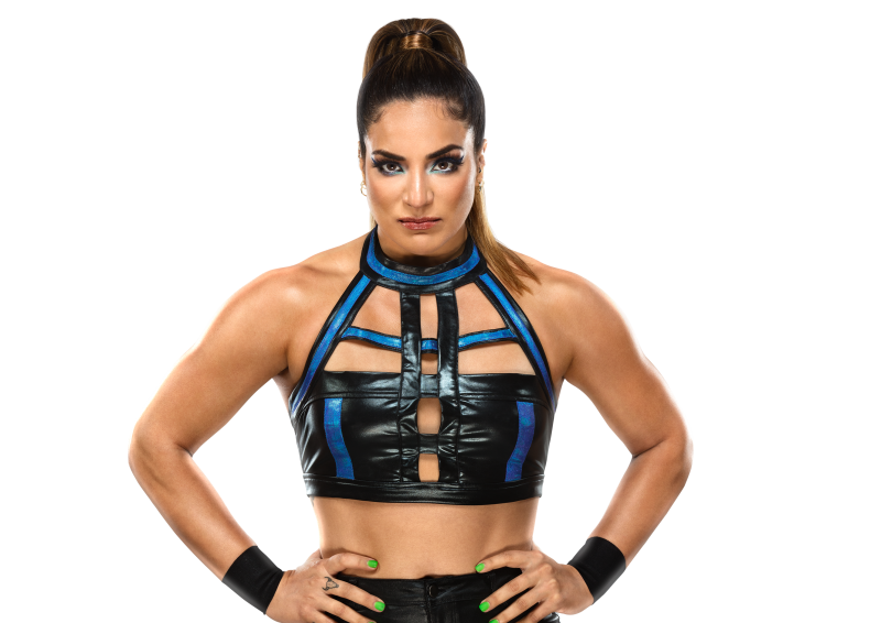 Superstars de la WWE