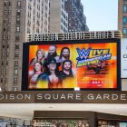 La WWE et l'AEW pourront bientôt gérer des salles de l'État de New York 