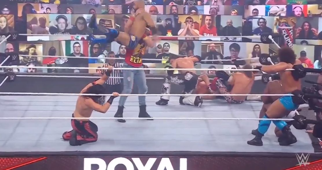 elias royal grondement 2021