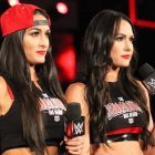 The Bella Twins