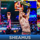  Sheamus explique pourquoi il est plus à l'aise que jamais sur WWE TV |  "Hors personnage" 