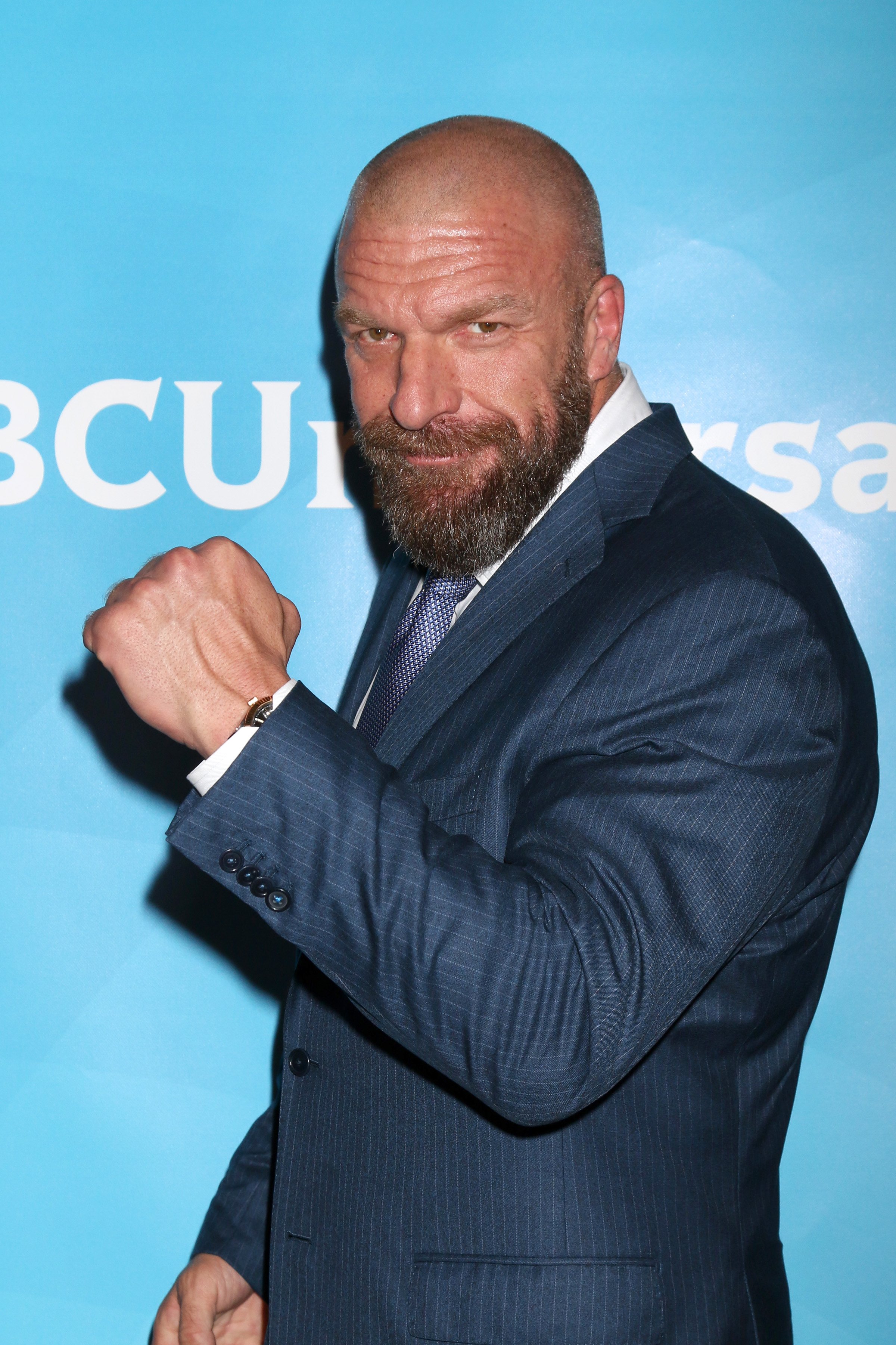 Paul Lévesque "Triple H" au NBC TCA Winter Press Tour au Langham Huntington Hotel le 9 janvier 2018 à Pasadena, Californie | Photo : Shutterstock