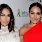 MISE À JOUR : Nikki et Brie Bella confirment leur départ de la WWE 