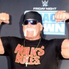 WWE legend Hulk Hogan marries Sky Daily in Florida – Boston 25 News