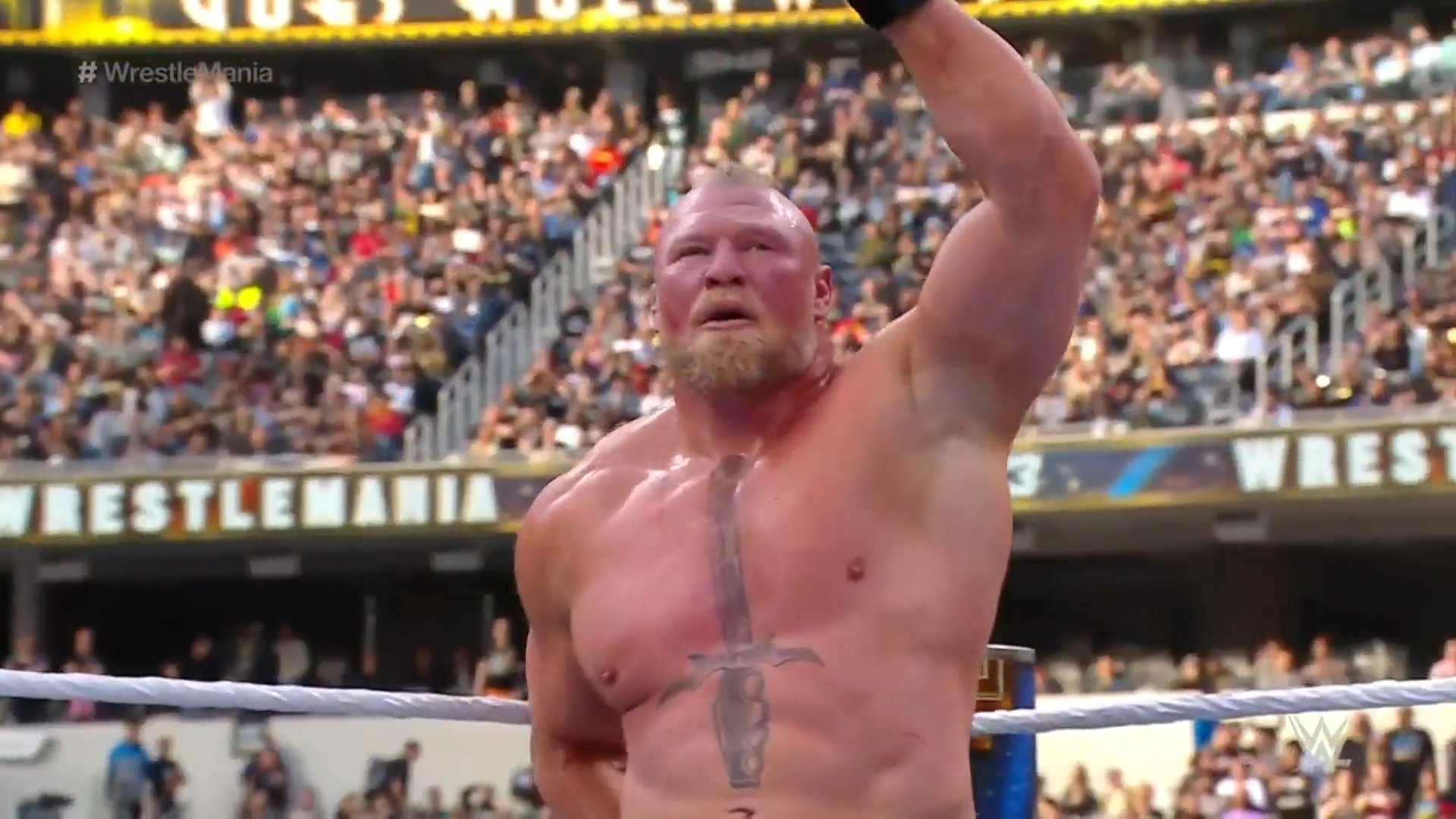 Brock Lesnar Mentioned In Vince McMahon Sex Trafficking Lawsuit