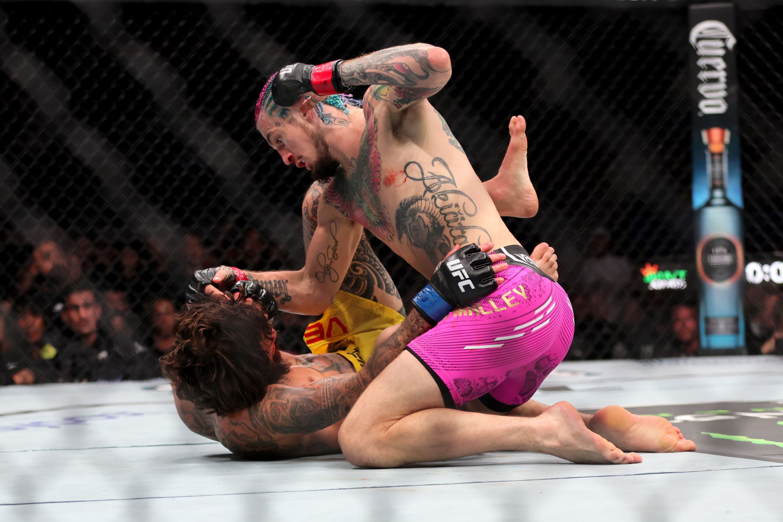 How Much Will Sean O'Malley Against Marlon Vera