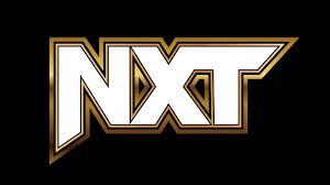 Shawn Spears on why he left WWE, what led to his return to NXT, using the Shawn Spears name in WWE