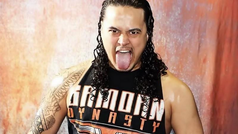 LA Smooth (Lloyd Anoa'i) Says Lance Anoa'i Is 'NXT Right Now'