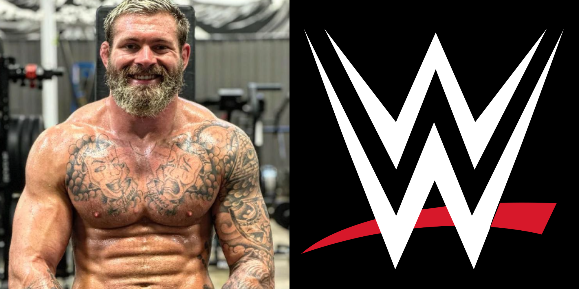 Gordon Ryan WWE The Rock John Cena PEDs