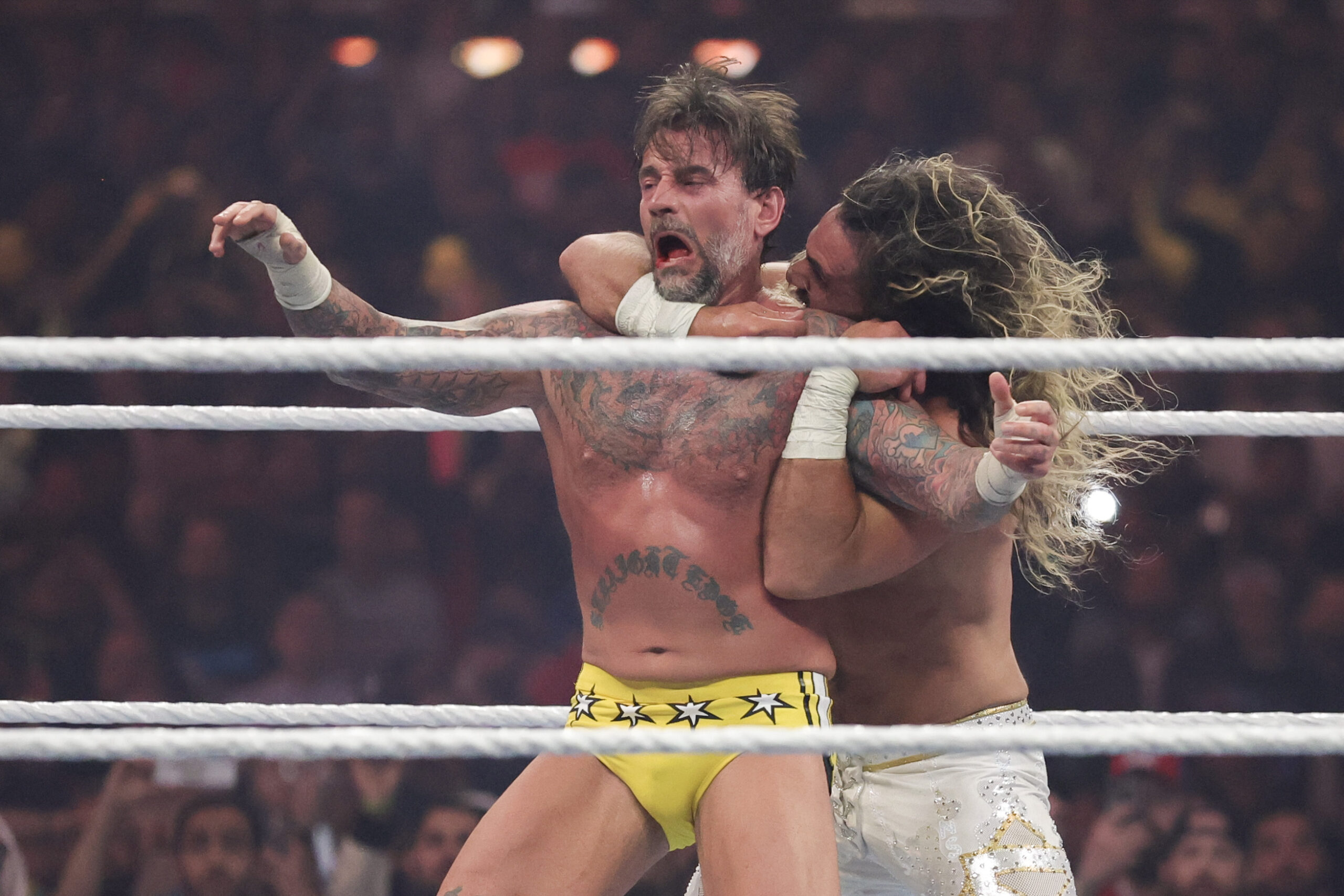WWE CM Punk Seth Rollins