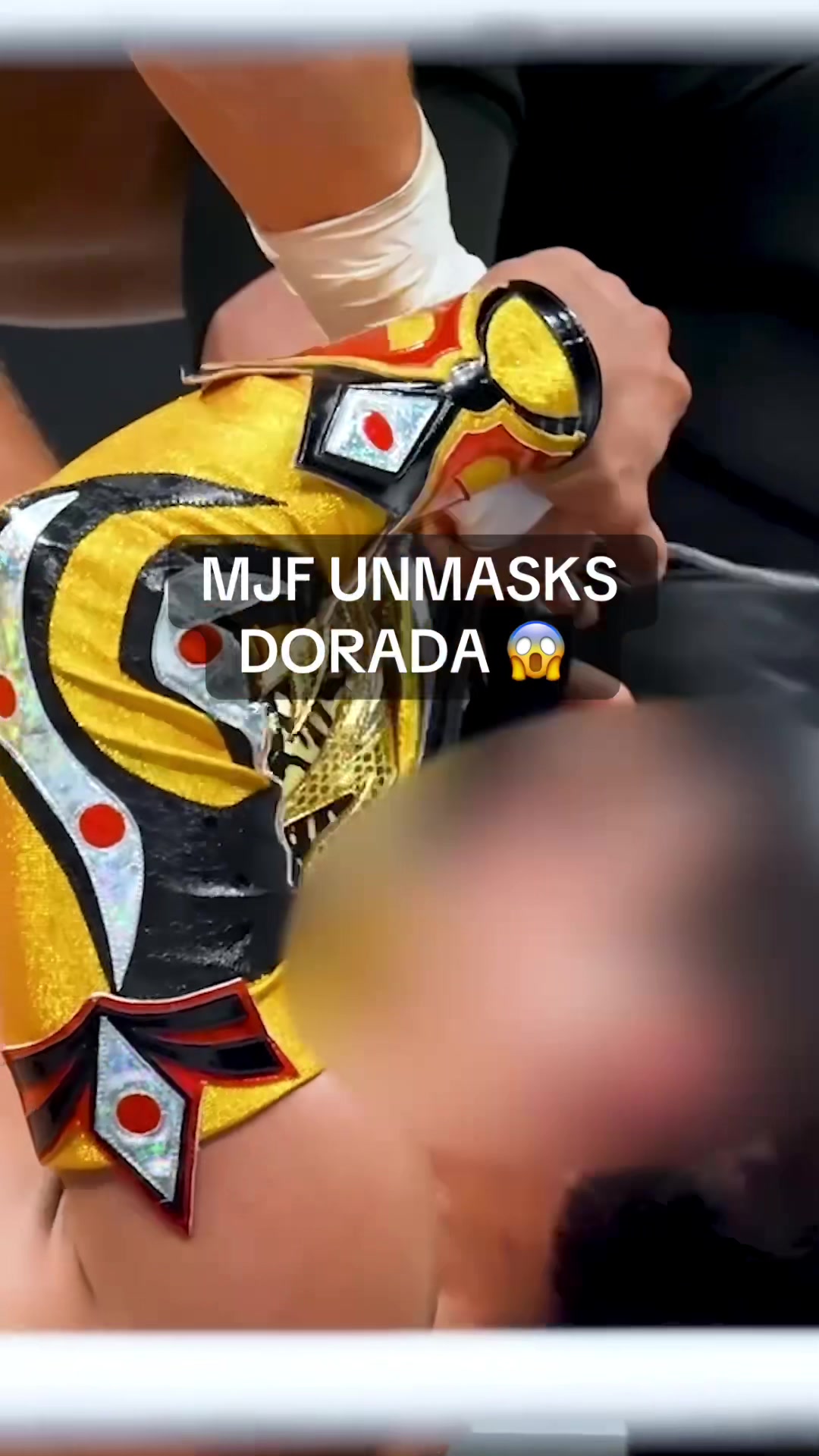 o4iyP5GJgLAMgeCmALIknhIiHWM3ejTxQtfUAxtplv-tiktokx-origin.image_.jpeg