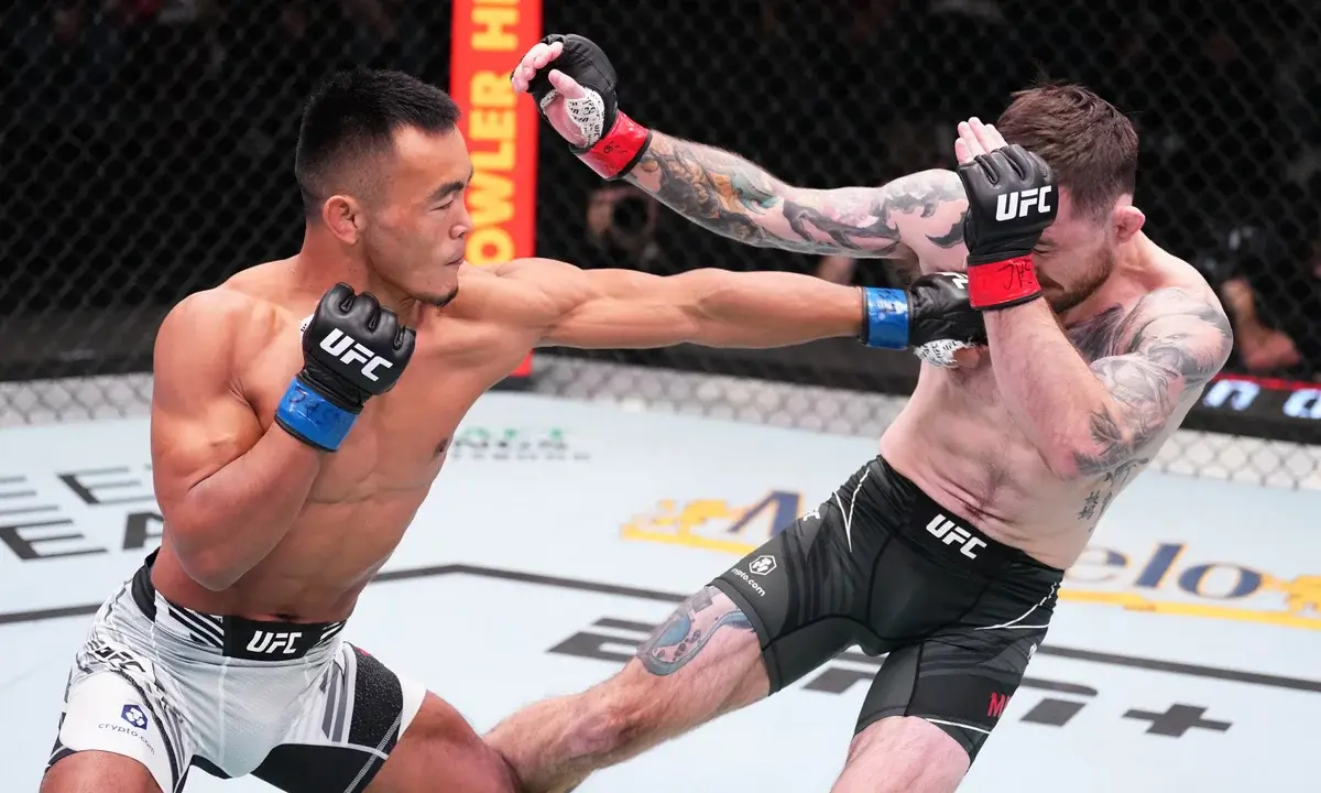 ufc-pourquoi-ce-sport-nous-passionne-autant