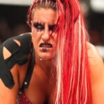 WWE NXT Revenge Announced, Featuring Last Woman Standing Match