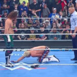 Wrestle Zone