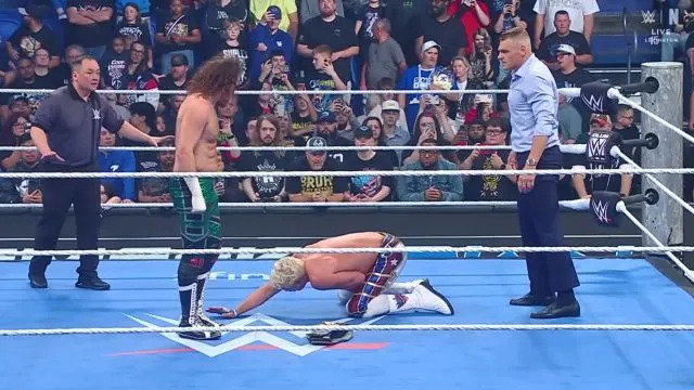 Wrestle Zone