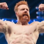 AEW Veterans Reportedly Pushing for Sheamus to Join Company, TNA Also Interested | Entertainment News
